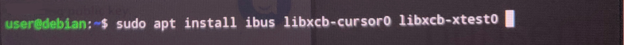 sudo apt install ibus libxcb-cursor0 libxcb-xtest0